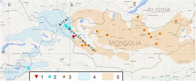 A Study of Hybridization Between Marmota baibacina and M. sibirica in Their Secondary Contact Zone in Mongolian Altai